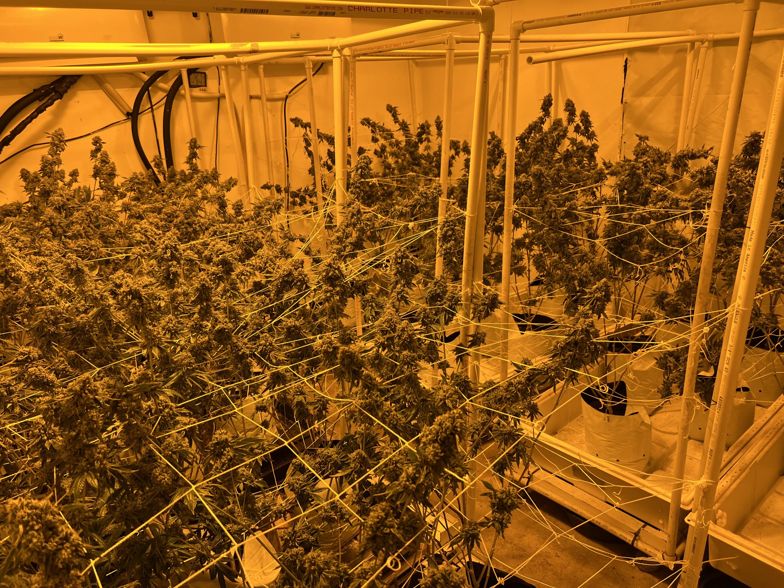 23-40251 Marijuana Grow.jpg