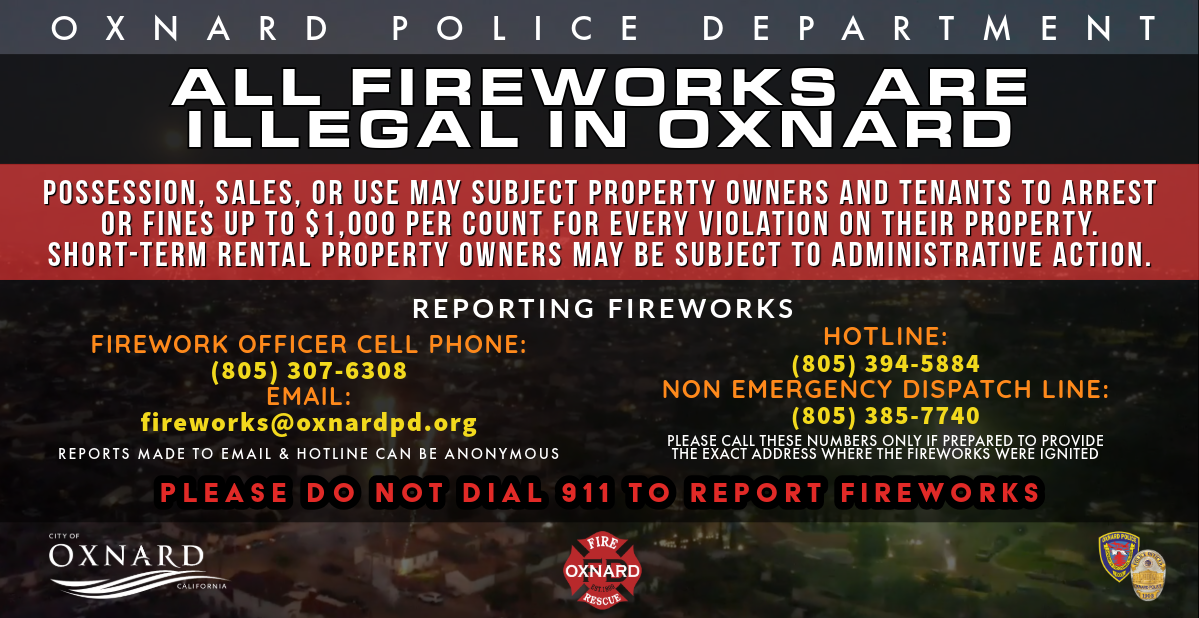 FIREWORKS 2025-1-Original (1).png