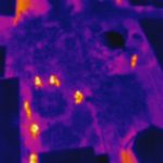 Drones thermal imagery depicts officers approaching suspect (at right).